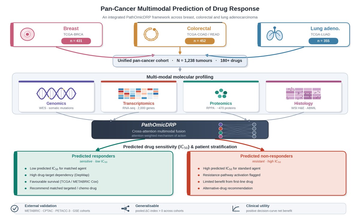Graphical abstract of the PathOmicDRP framework across breast, colorectal and lung adenocarcinoma cohorts